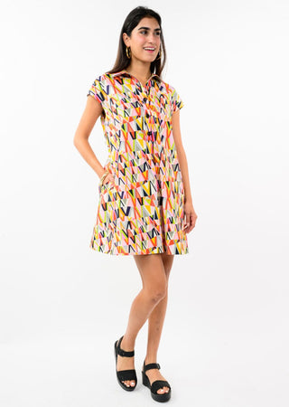 Shift & Swing Dress