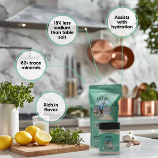 Celtic Sea Salt, 8 oz Shaker of Fine Ground Celt Salt- (1/2 lb)