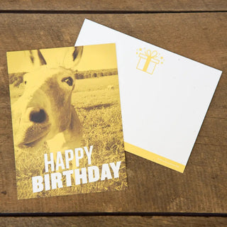 Southern Greeting Cards - Ya Ya Gurlz