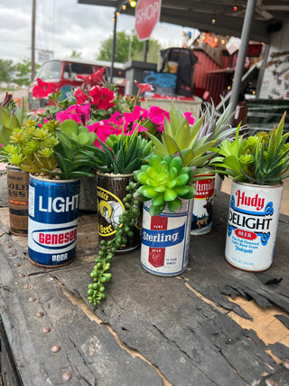 Tejas Succulents - Ya Ya Gurlz