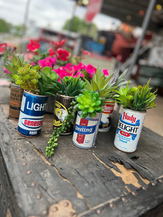 Tejas Succulents - Ya Ya Gurlz